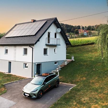 Ferienhaus Treissmann An Der Weinstrasse Leutschach Exteriör bild