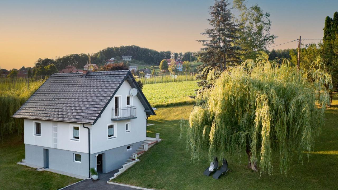 Ferienhaus Treissmann An Der Weinstrasse Leutschach Exteriör bild