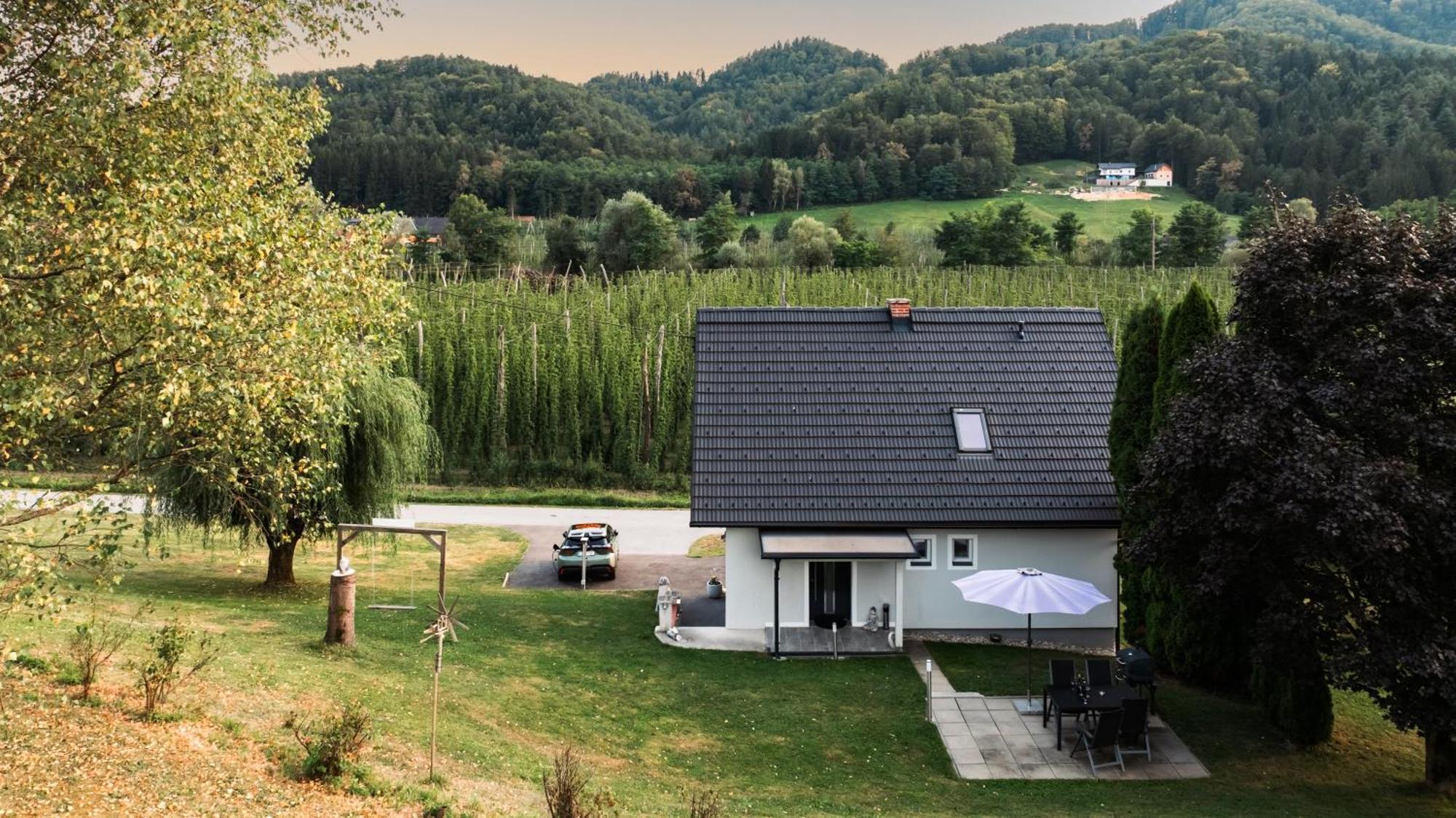 Ferienhaus Treissmann An Der Weinstrasse Leutschach Exteriör bild